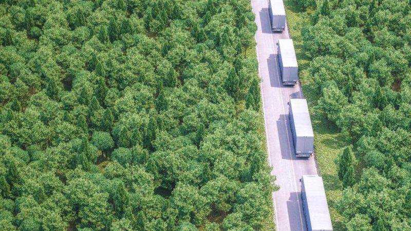 Four white eco-friendly freight big rigs are driving in a line down a road surrounded by lush green growth on both sides.